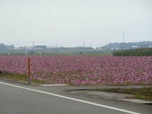 DSCN4783.JPG