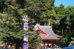 DSC_0165.jpg