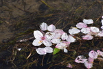 DSC_0549.JPG