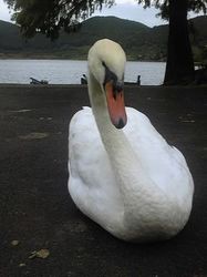 Image048.jpg