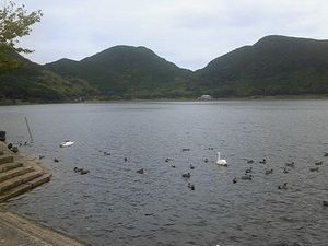 Image053.jpg