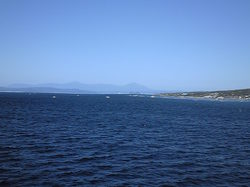 Image138.jpg