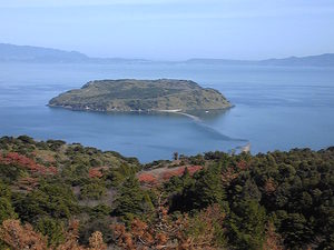 Image142.jpg