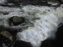 Image169.jpg