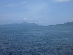 Image492.jpg