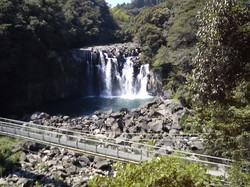 P1000102.JPG