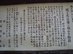 P1000104.JPG