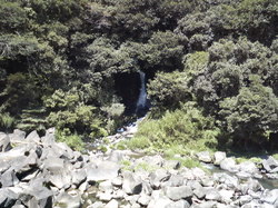 P1000106.JPG